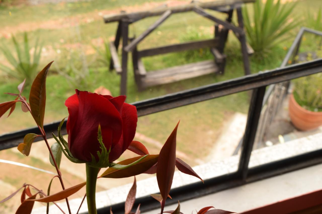 El Pedregal Sopo Bed & Breakfast エクステリア 写真