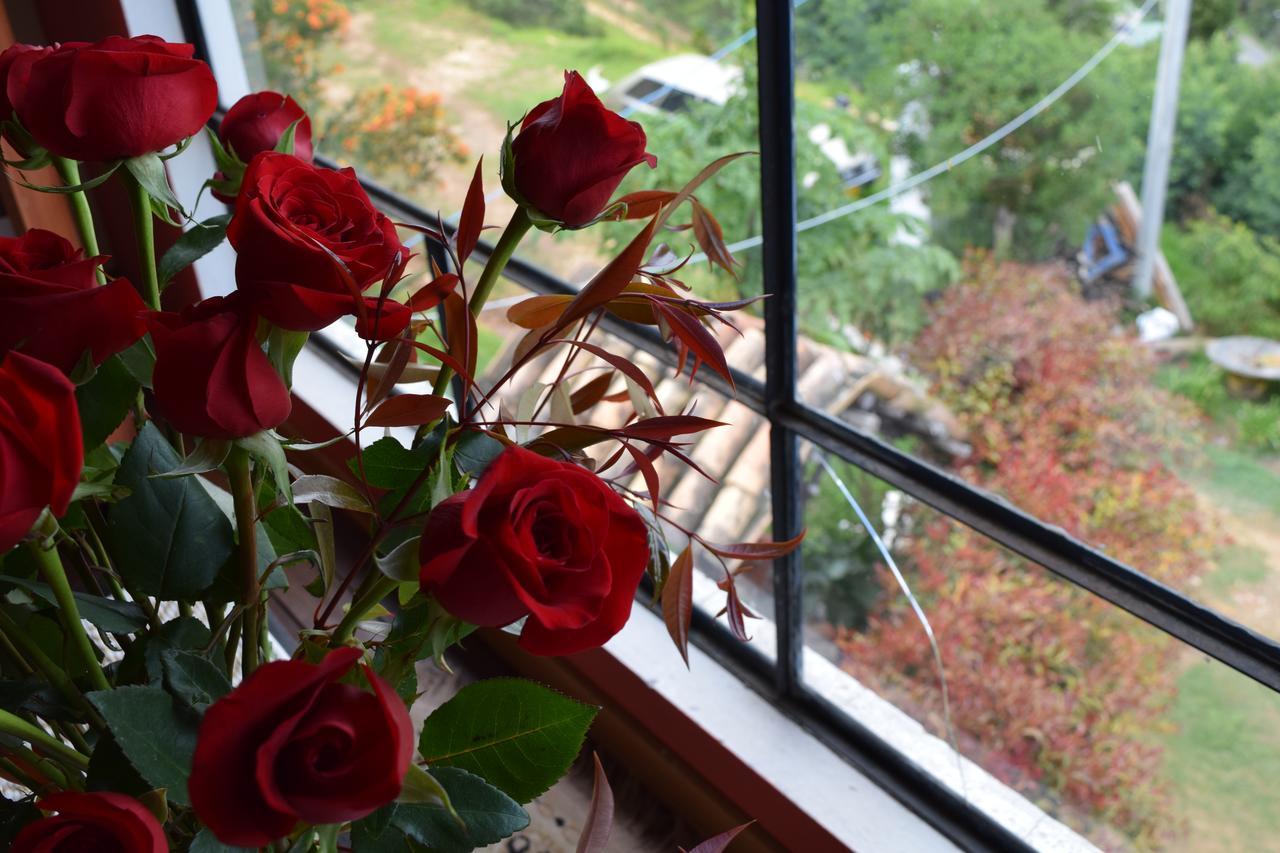 El Pedregal Sopo Bed & Breakfast エクステリア 写真