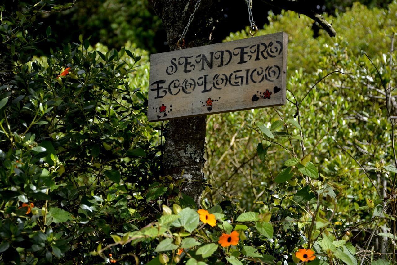 El Pedregal Sopo Bed & Breakfast エクステリア 写真