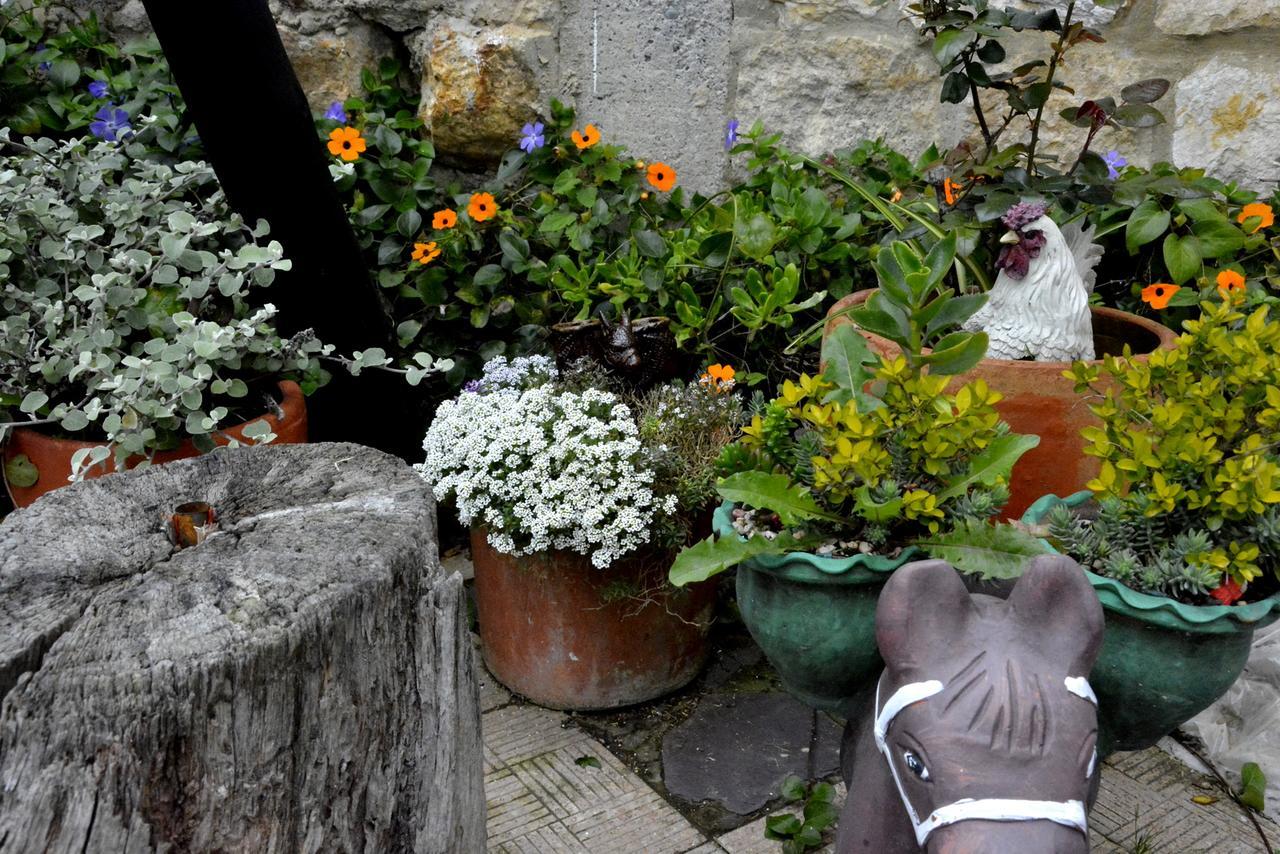 El Pedregal Sopo Bed & Breakfast エクステリア 写真