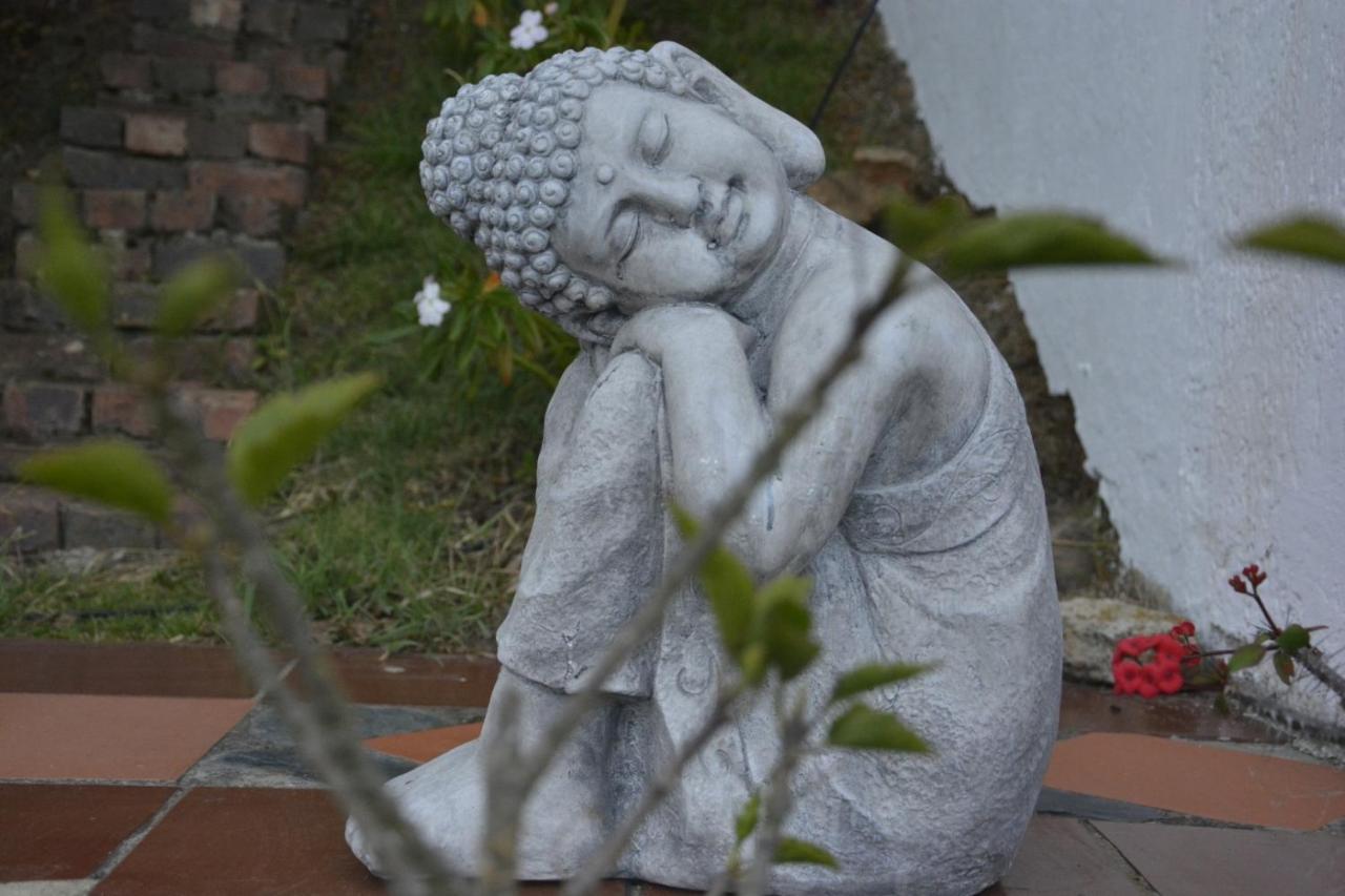 El Pedregal Sopo Bed & Breakfast エクステリア 写真